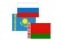 Правительство самостоятельно создает сложности для вступления в ТС